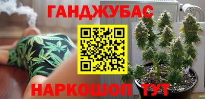 мдпв Гусев
