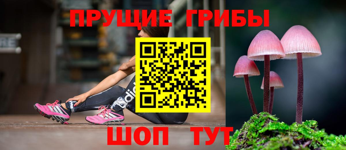 Псилоцибиновые грибы GOLDEN TEACHER Коряжма